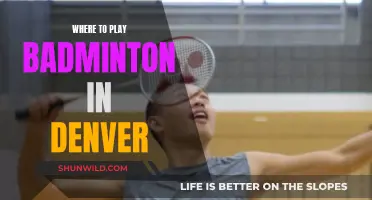 Denver's Top Badminton Venues for Your Next Game