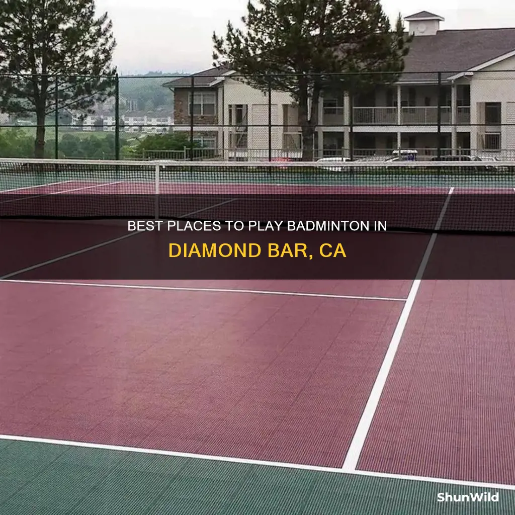 where to play badminton in diamond bar ca