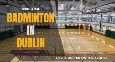 Best Dublin Badminton Venues for Your Next Game