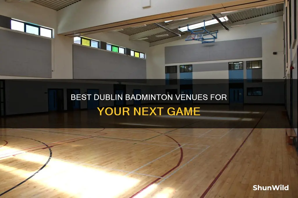 where to play badminton in dublin