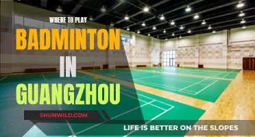 Guangzhou's Top Badminton Courts and Venues
