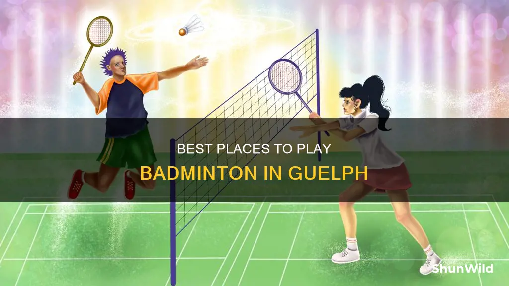 where to play badminton in guelph