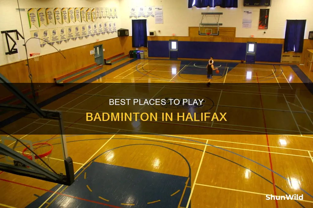where to play badminton in halifax
