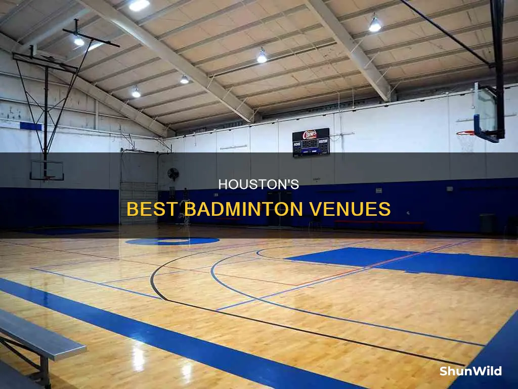 where to play badminton in houston