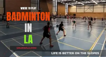 Best Places to Play Badminton in LA