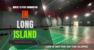 Best Badminton Courts in Long Island