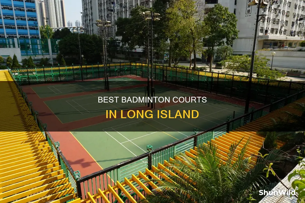 where to play badminton in long island