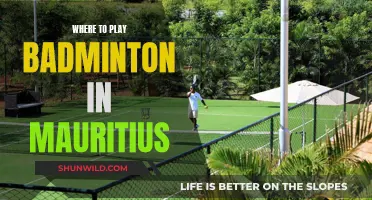 Best Places to Play Badminton in Mauritius