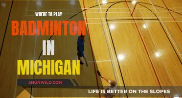 Best Places to Play Badminton in Michigan