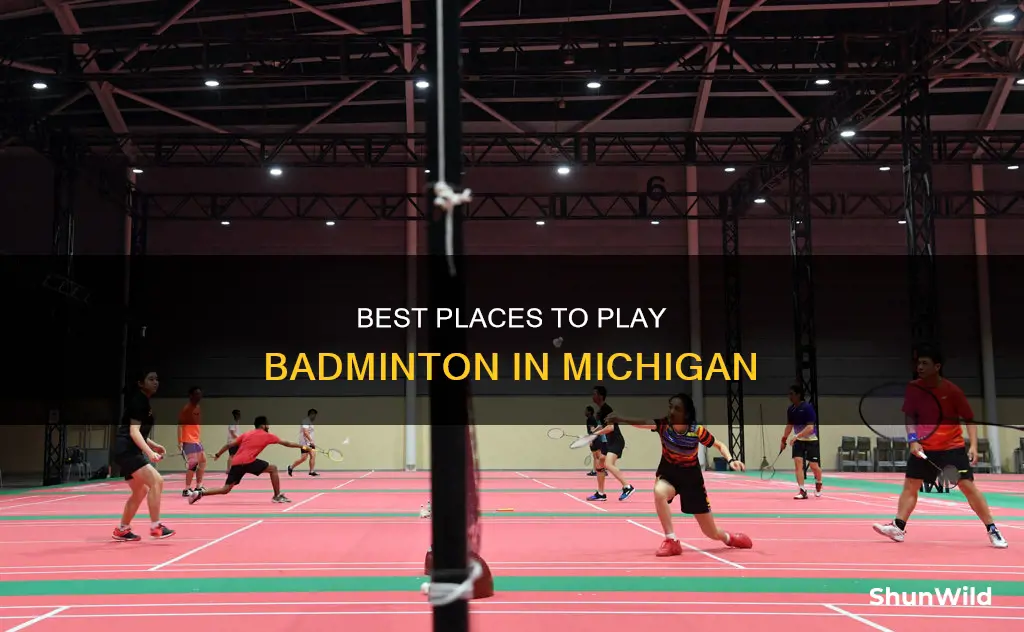 where to play badminton in michigan