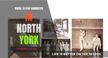 Best Badminton Venues in North York