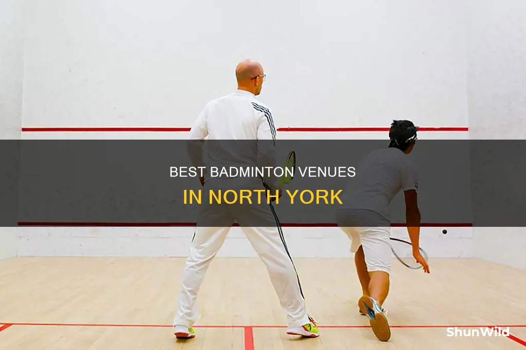 where to play badminton in north york