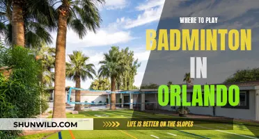 Orlando's Top Badminton Venues for Your Next Game