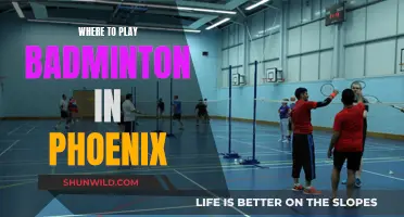 Best Places to Play Badminton in Phoenix