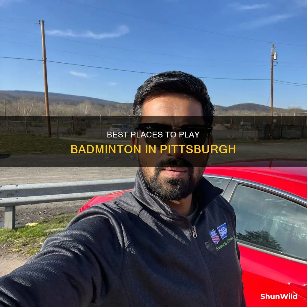 where to play badminton in pittsburgh