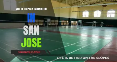 Best Places to Play Badminton in San Jose