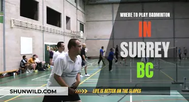 Best Places to Play Badminton in Surrey, BC