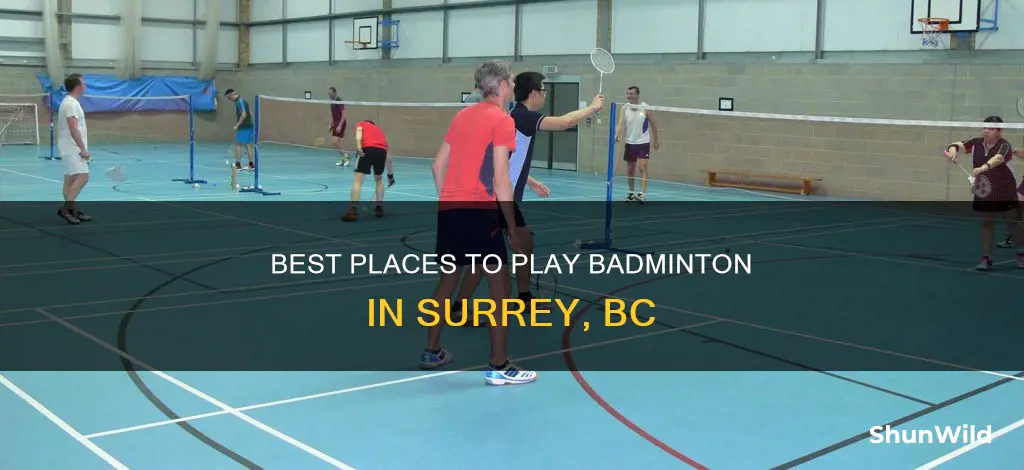 where to play badminton in surrey bc