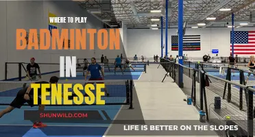 Best Places to Play Badminton in Tennessee