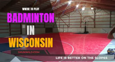 Wisconsin's Top Badminton Venues Revealed