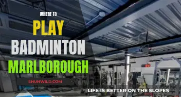 Marlborough's Top Badminton Venues