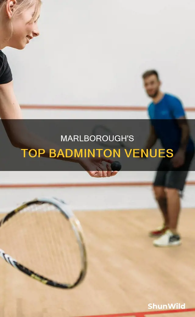 where to play badminton marlborough