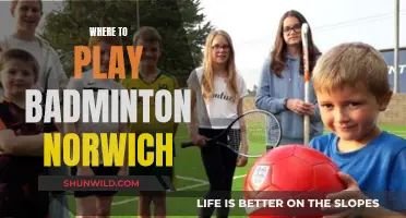 Badminton Venues in Norwich: A Guide