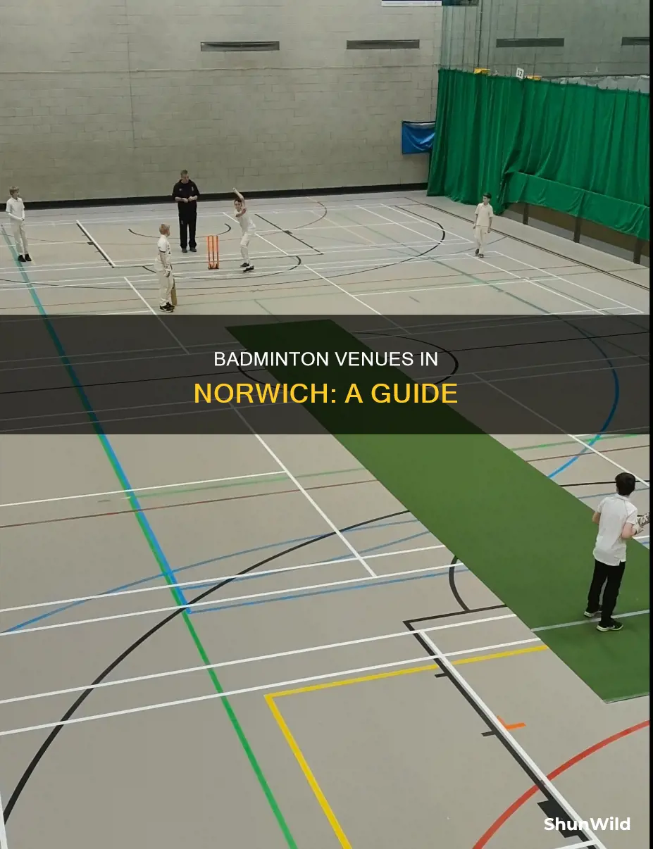 where to play badminton norwich