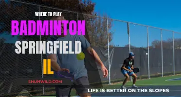 Springfield, IL: Best Badminton Venues