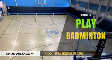 Best Places to Play Badminton