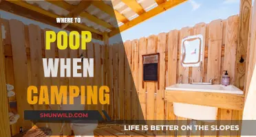 Nature's Call: A Camper's Guide to Finding the Perfect Spot