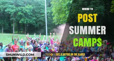 Where to Post Summer Camps: A Comprehensive Guide for Parents