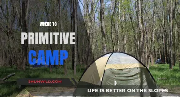 Exploring the Great Outdoors: A Guide to Primitive Camping Spots