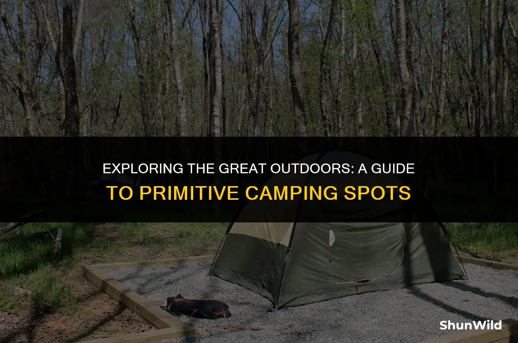 where to primitive camp