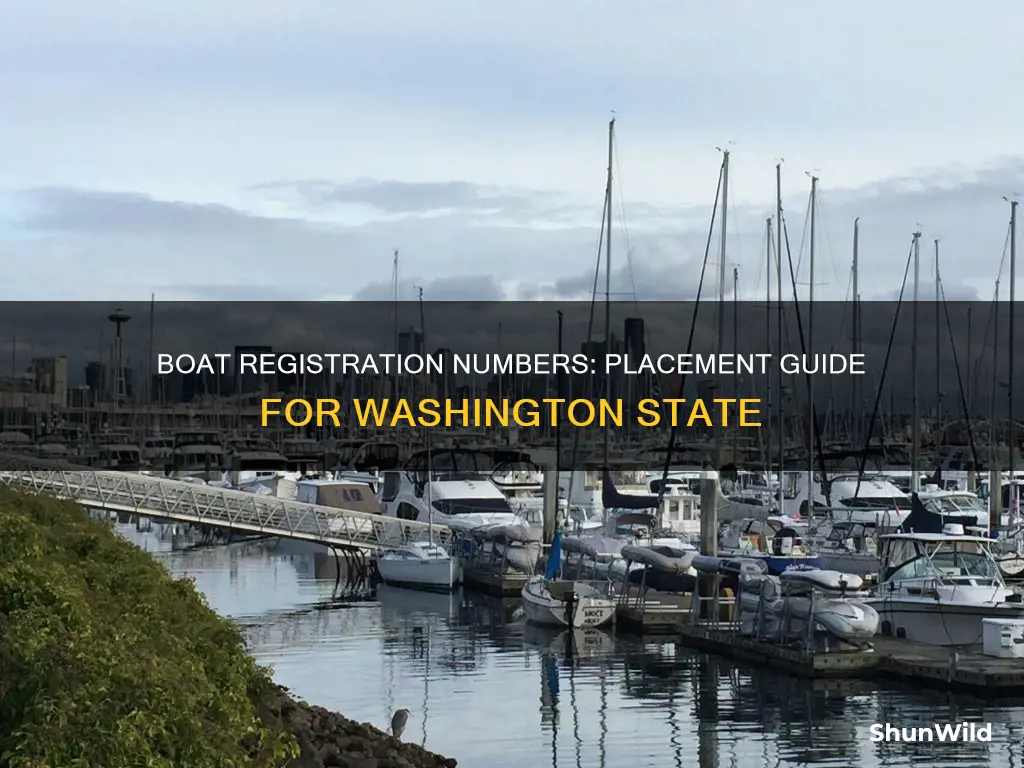 where to put boat registration numbers in washington