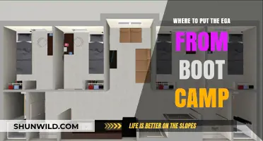 Where to Place Your EGA After Completing Boot Camp