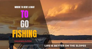 Best Boat Rental Options for Fishing Enthusiasts