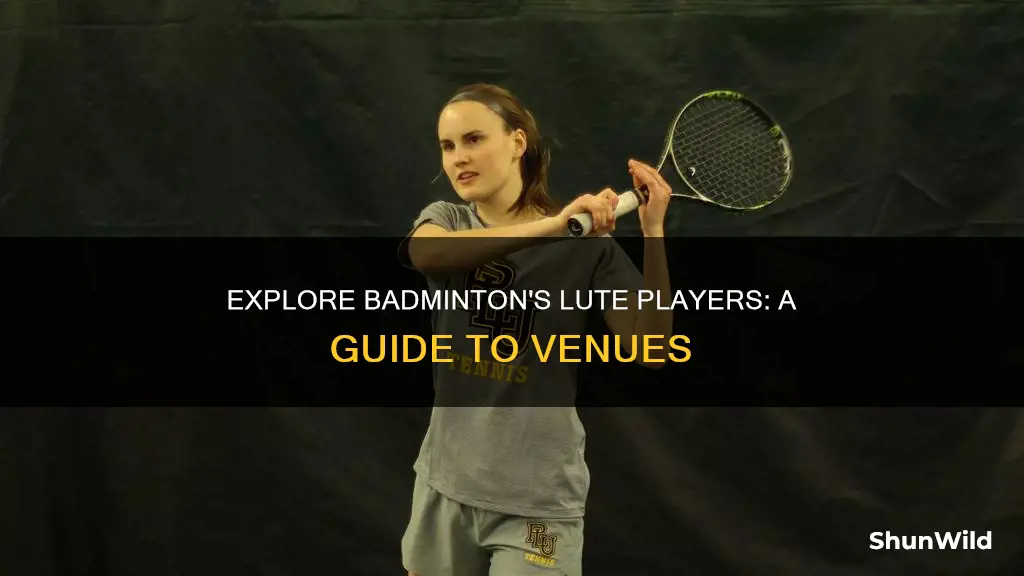 where to see badminton lute player
