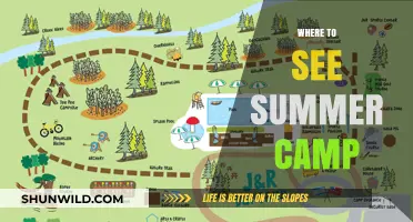 Discover the Perfect Summer Camp: A Guide to Unforgettable Adventures