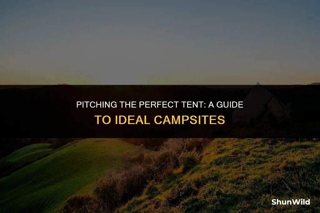 where to set up camp