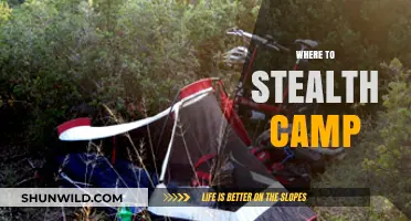 Top Secret Spots: Stealth Camping Destinations Unveiled