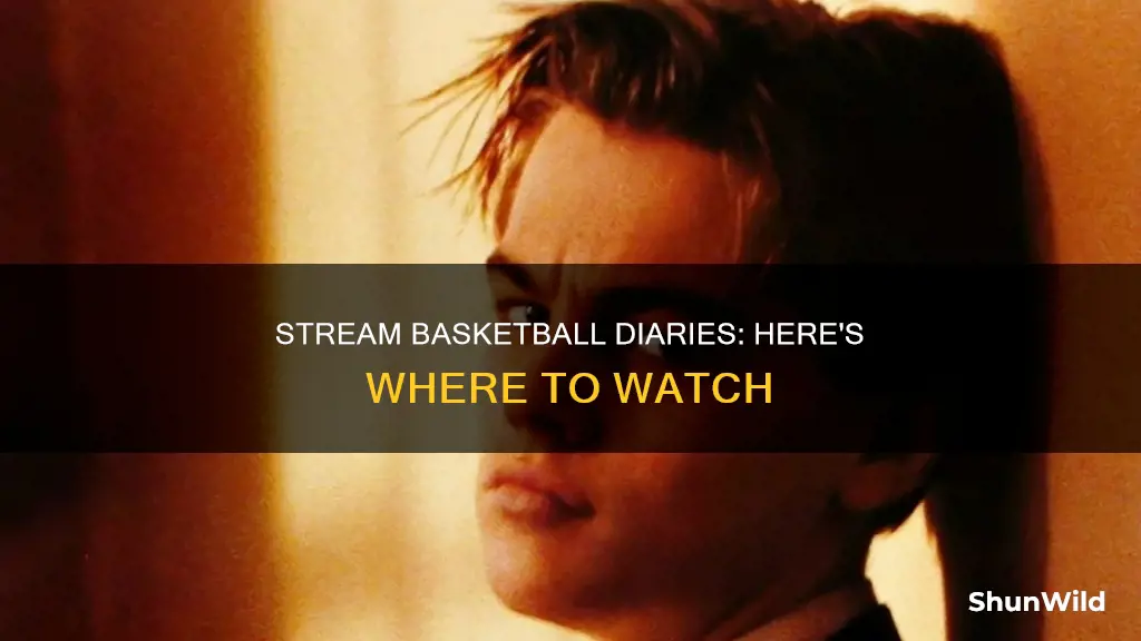 where to stream basketball diaries