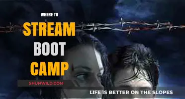 Best Streaming Platforms for Boot Camp Workouts: Stay Fit Anywhere