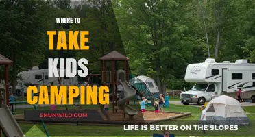 Family-Friendly Camping Spots: Where to Take Kids for an Unforgettable Outdoor Adventure