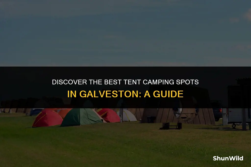 where to tent camp galveston
