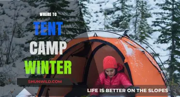 Winter Wonderland: Top Tent Camping Spots for the Adventurous