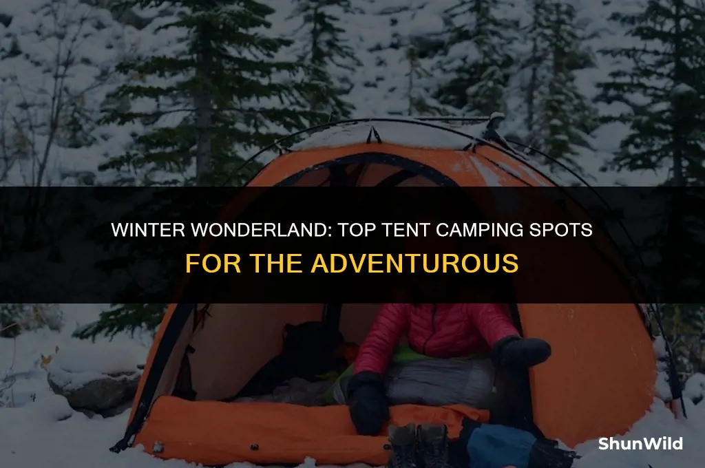 where to tent camp winter