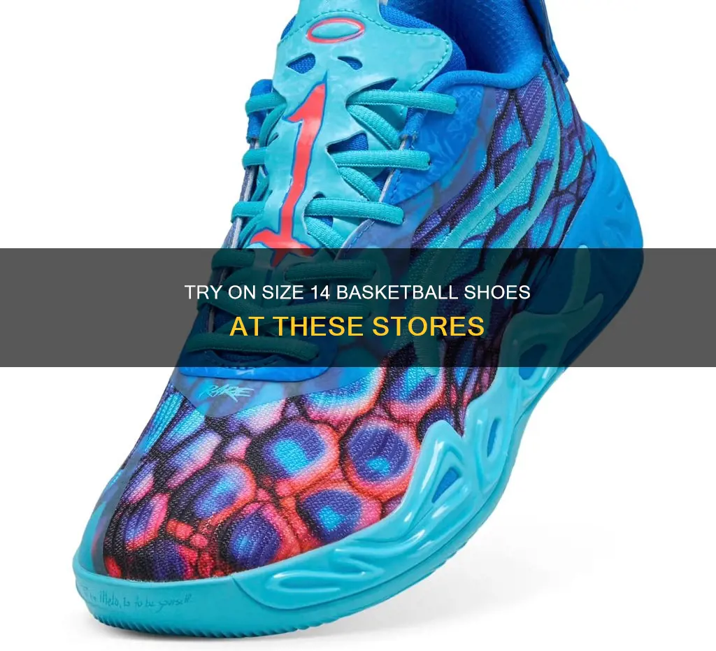where to try on size 14 basketball shoes
