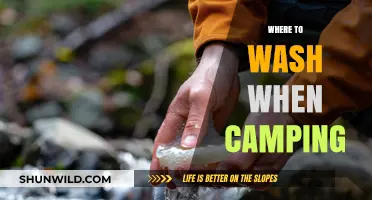 Freshening Up in the Wild: A Camper's Guide to Staying Clean
