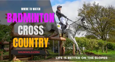 Best Platforms to Watch Badminton Cross Country
